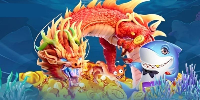 Khám phá bí ẩn để chinh phục đại dương xanh Khám phá bí ẩn để chinh phục đại dương xanh