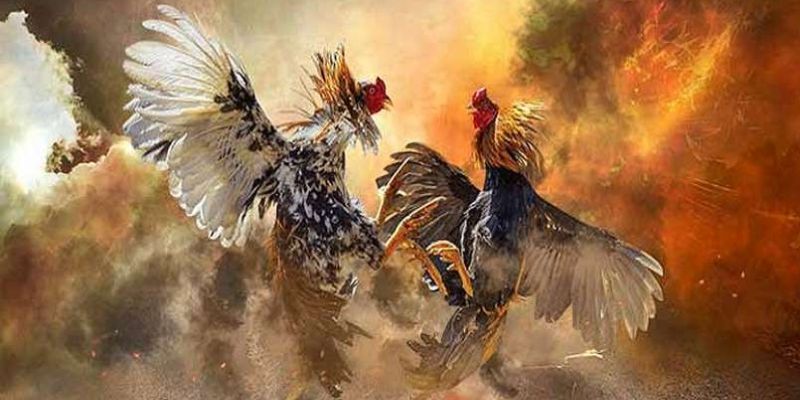 Luật xử phạt để đảm bảo công bằng và minh bạch Luật xử phạt để đảm bảo công bằng và minh bạch