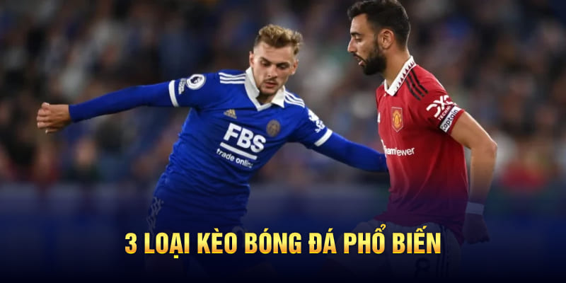 Kinh nghiệm soi kèo bóng đá thực chiến từ chuyên gia Vipwin 5 3 loại kèo bóng đá phổ biến