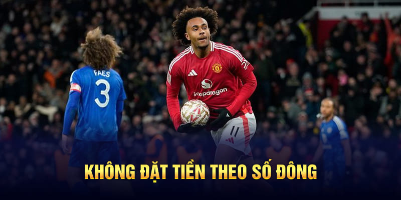 Kinh nghiệm soi kèo bóng đá thực chiến từ chuyên gia Vipwin 6 Không đặt tiền theo số đông