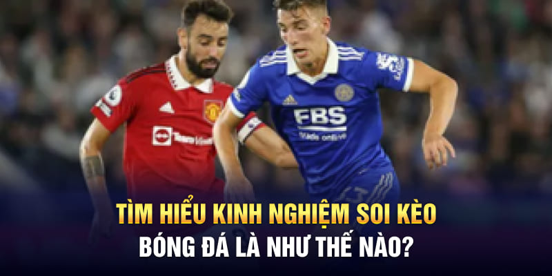 Kinh nghiệm soi kèo bóng đá thực chiến từ chuyên gia Vipwin 4 Tìm hiểu kinh nghiệm soi kèo bóng đá là như thế nào?